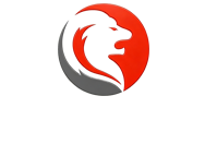 升狮国际